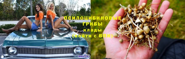 СК Верея