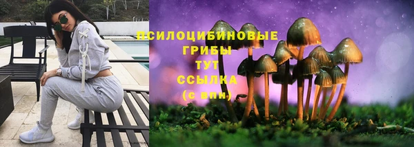 mdpv Верхний Тагил