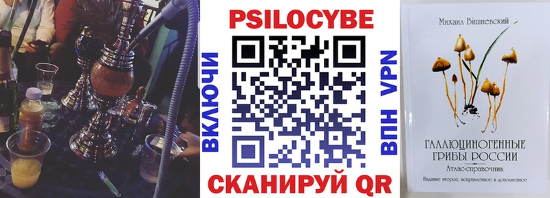 Псилоцибиновые грибы Psilocybine cubensis Людиново